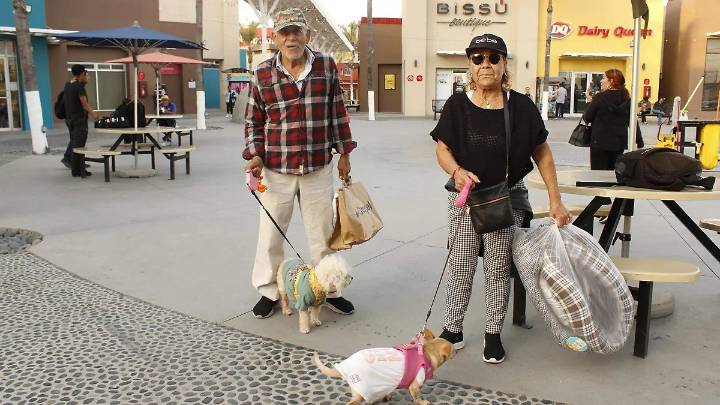¿Tu perro tiene comportamientos destructivos? Podría ser ansiedad por separación
