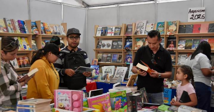 ¿Leemos? Sí. ¿Comprendemos? No lo sabemos