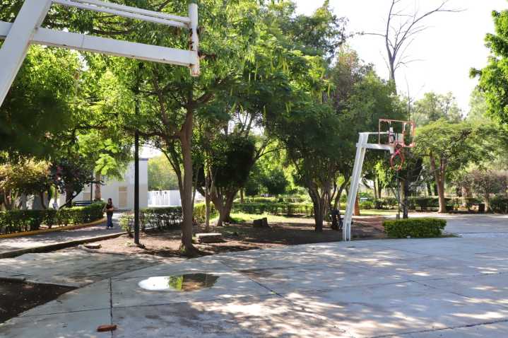 Observatorio Ciudadano respalda decretar Los Alcanfores como Área Natural Protegida