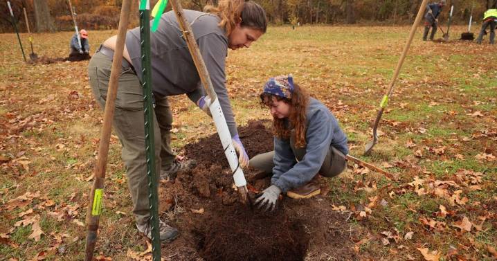 St. Louis aims to replant thousands of trees after tornado