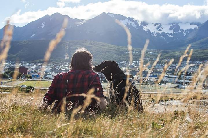 Rescató un perro con sarna y su vida cambió: dejó la publicidad, se hizo vegano y ahora salva animales