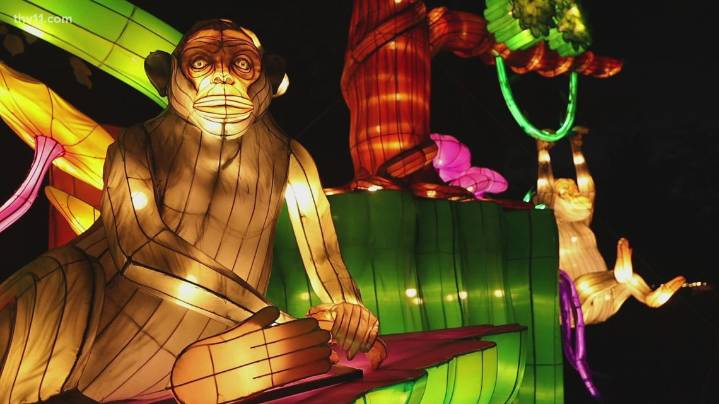 GloWILD returns to the Little Rock Zoo