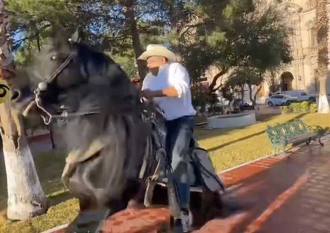 Diputado Alfredo Lozoya cae de su caballo durante grabación en la Plaza del Ángel