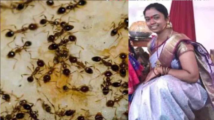Sangareddy Woman Ends Life Over Fear of Ants