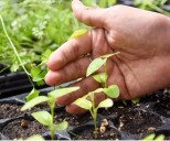 Últimos días para inscribirse en la jornada sobre Inteligencia Artificial aplicada al agro