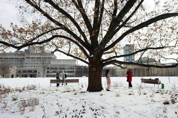 Is Canada Still Among the Big 4 Overseas Student Recruiters?