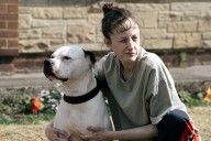 Dragonfly review: Brenda Blethyn and Andrea Riseborough are stellar in a drama with a sting in its tail