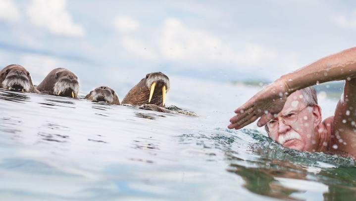 John Bolton Waves Goodbye, Returns To Sea To Be Walrus Again