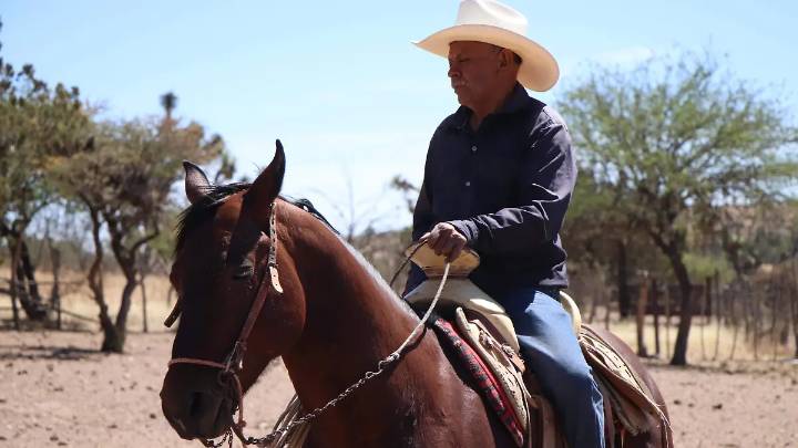 ¿Llega el gusano barrenador a Aguascalientes? Unión Ganadera emite alerta sanitaria por casos en Jalisco