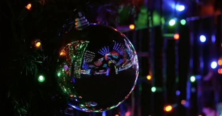 Labor of love lights up the Christmas holiday in Bakersfield