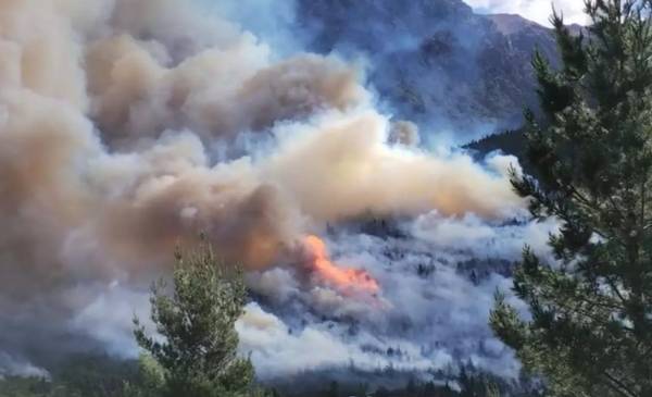 Después de tres días de intenso operativo, se contuvo el incendio forestal en El Pedregoso