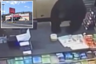Black bear chases 'screaming' 11-year-old boy into dollar store: video