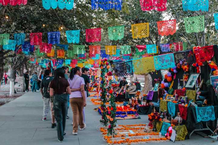 Cerca de 29 mil personas celebraron el Día de Muertos en el Parque Central