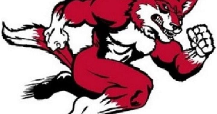 THE THURSDAY FIVE: Hartsville's future even brighter at QB