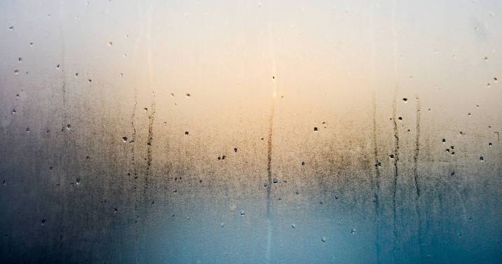 Woman shares 1 daily task to banish condensation in minutes