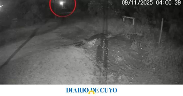 El video donde se ve al femicida de Débora Bulacio arrastrando el cuerpo de la víctima hasta el lugar donde la enterró