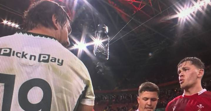 Wales star confronts Eben Etzebeth after match as eye gouge sickens stadium