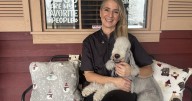 Richfield dog groomer Andrea Rich and Bedlington Terrier Delta wins breed placement at national dog show
