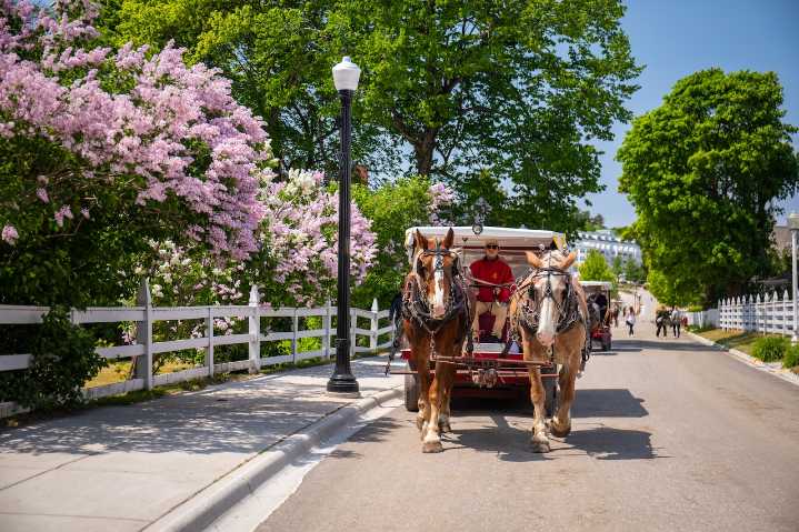 Mackinac Island Black Friday deals: Save on hotels, vacation packages for 2026