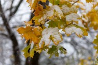 Toronto braces for first taste of winter as flurries loom this weekend