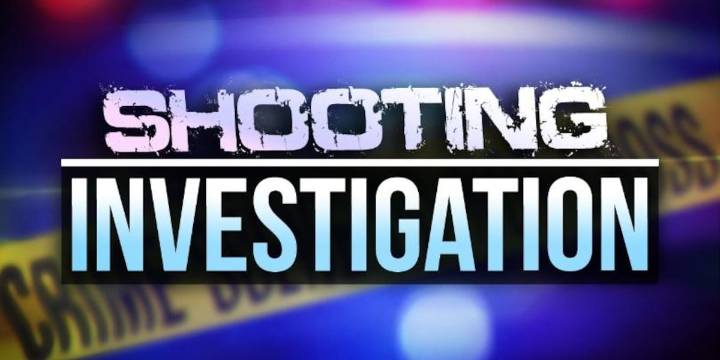 4 detained following claims of shooting on Louise Street in Alexandria