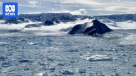 Hektoria Glacier in Antarctica shrinks at fastest rate recorded in modern history