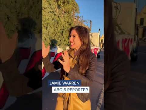 Arizona's tallest fresh Christmas tree arrives in Anthem for holiday fun