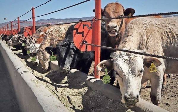 Sin afectaciones industria de exportación por horario de invierno