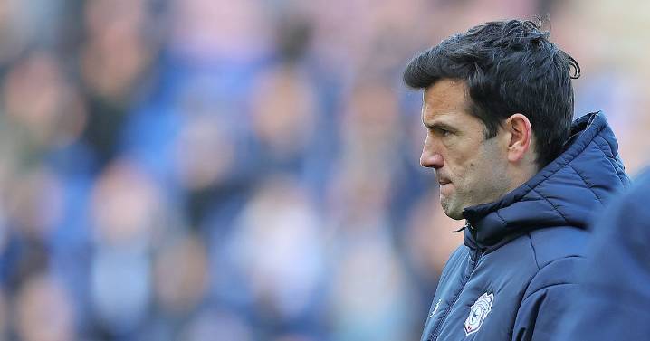 Cardiff City's January transfer priorities now clear as promotion bid ramps up