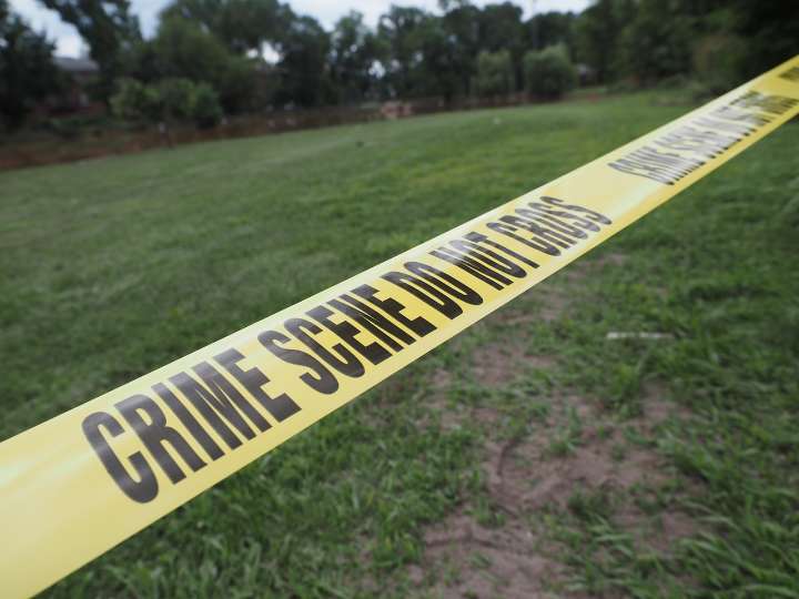 Woman arrested after nearly 100 malnourished, freezing cats rescued from Alabama home