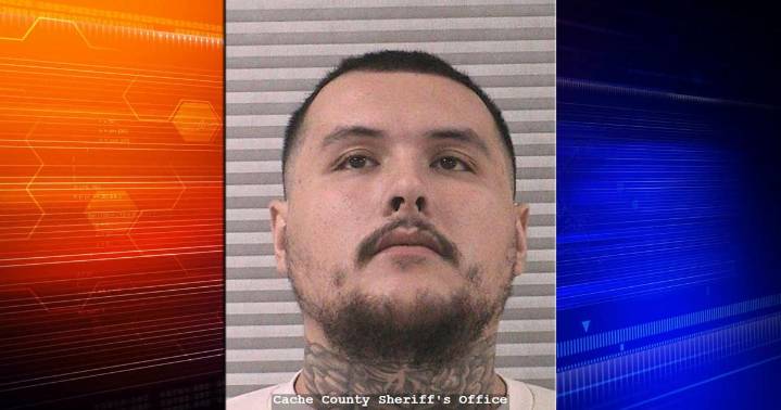 Cornish man pleads guilty to kidnapping and assault charges following domestic dispute