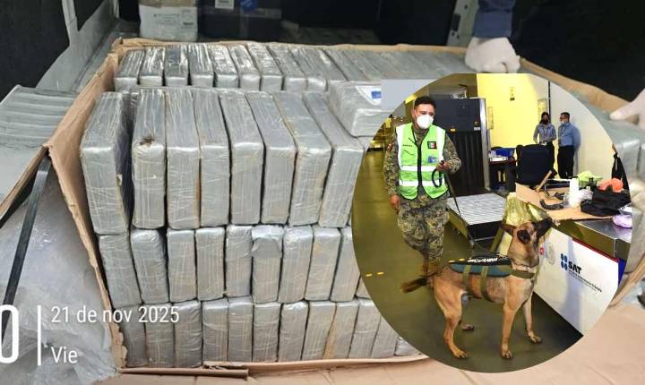 Federales desarticulan red de tráfico de cocaína en el AICM