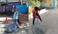 GHMC commences stray dogs removal drive from government hospitals