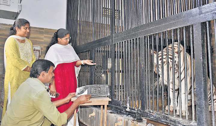 Cozy winter ahead for Hyderabad’s Nehru zoo park inmates