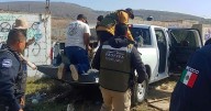Rescatan a venado en predio baldío de Ensenada