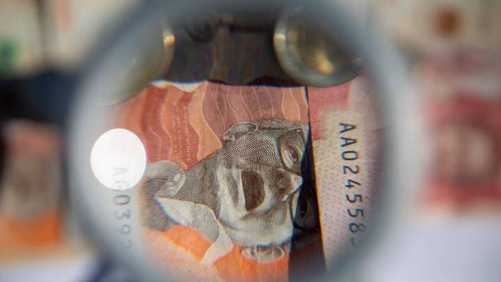 Carf advierte deterioro fiscal en 2025 y prevé deuda menor a la proyectada por el Gobierno