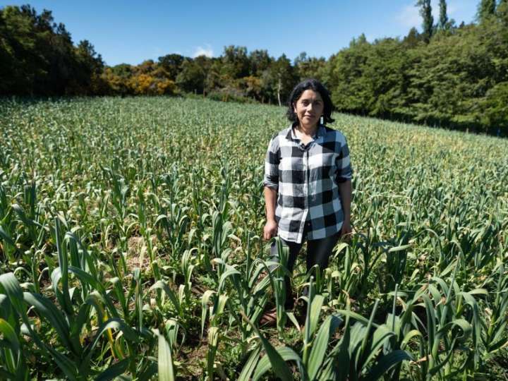 FOSIS y compañía minera se unen para capacitar a emprendedoras de todo Chile
