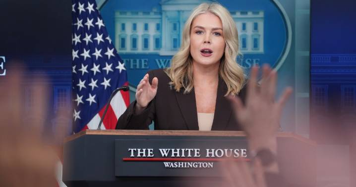 ICE arrests mother of White House press secretary Karoline Leavitt’s nephew