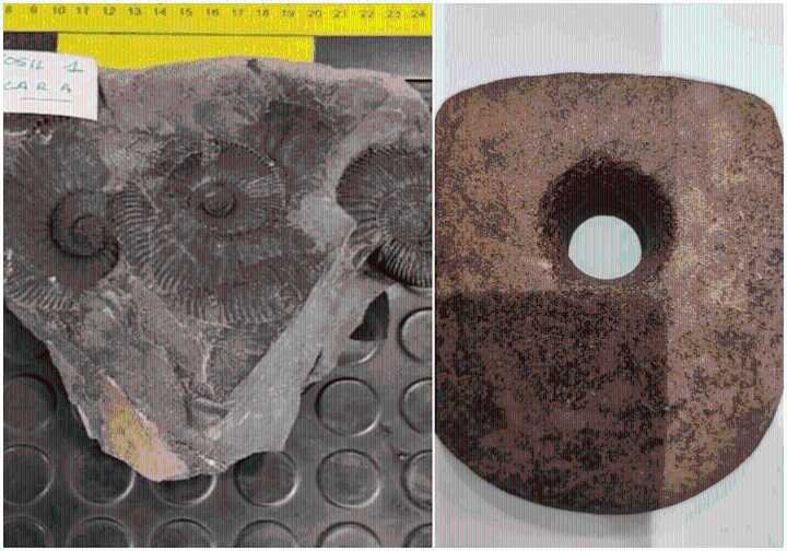 Autoridades de España recuperan piezas arqueológicas y fósiles del patrimonio de México y Ecuador