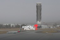 México mantiene conversaciones con congresistas de EU para preservar operación de aerolíneas al AIFA