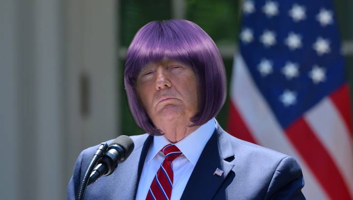 Trump Dons Purple Wig And Names Himself Leader Of The Resistance