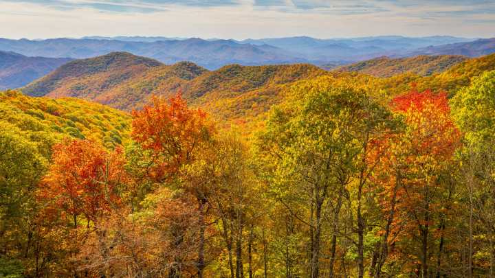 Great Smoky Mountains National Park Stays Open At $80,000 A Week, But Services Are Limited And Rangers Skeptical