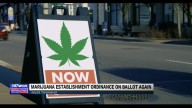 Niles marijuana proposal is in the voters hands