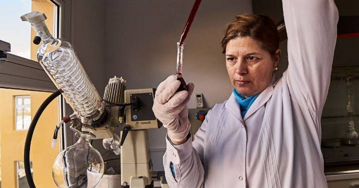 El Senado distinguió a una investigadora patagónica: halló en el erizo de mar, la clave para las secuelas de Covid