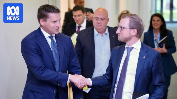 Ley to announce final position on net zero, after Liberals clear path to dump target