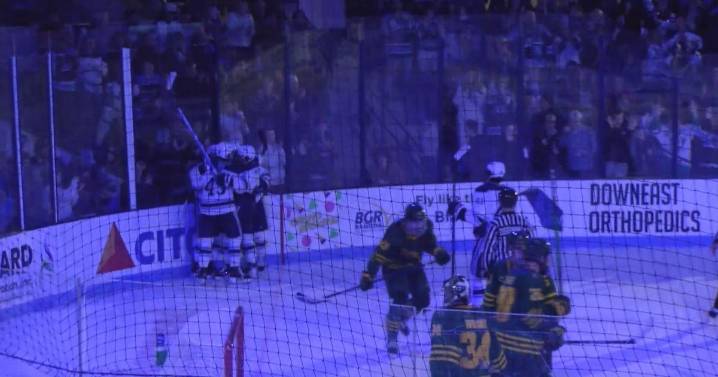 Maine Hockey rolls over Vermont