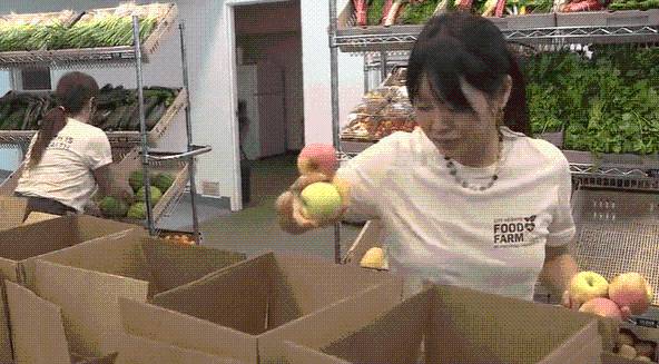 $3 million dollar grant given to local farmers and food banks