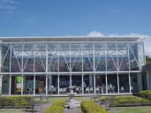 Hay elecciones en un organismo clave y Washington ya se decidió: ¿Qué hará la Cancillería argentina?