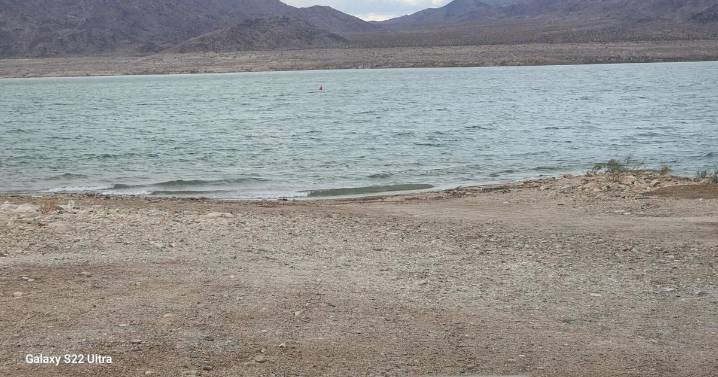 AZGFD asking for input on Lake Mead and Lake Mohave fish limits