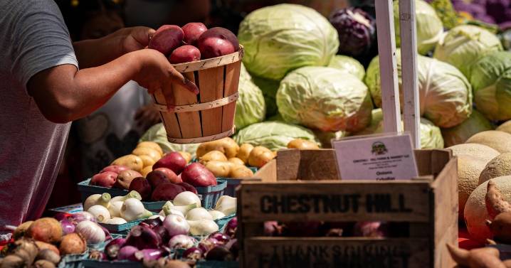 How the lapse in SNAP funding impacted Maryland farmers